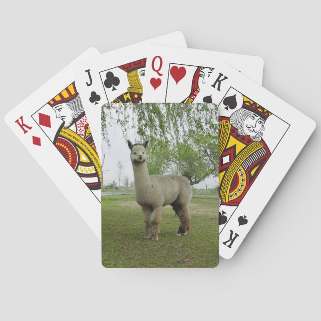 Alpaca Playing Cards Spielkarten (Rückseite)