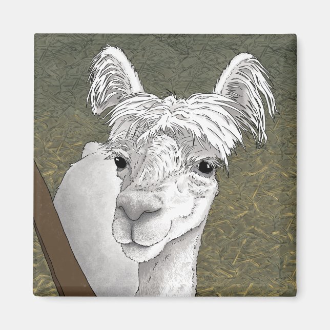 Alpaca Portrait 2 Magnet (Vorne)