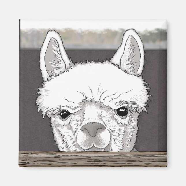 Alpaca Portrait Magnet (Vorne)