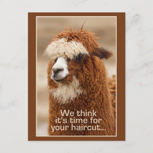 Alpaca-Postkarte Postkarte (Vorderseite)
