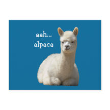 Alpaca Postkarten