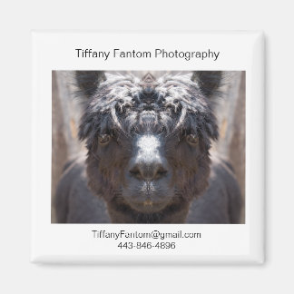 Alpaca Promo Piece Magnet