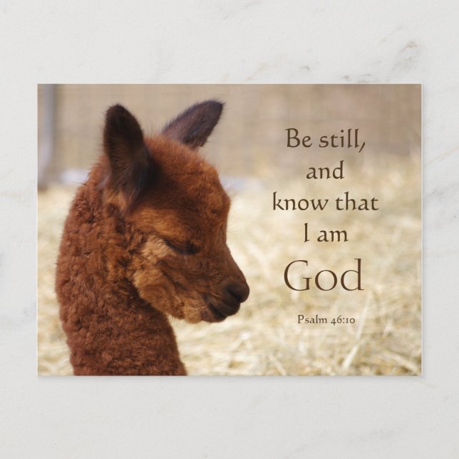 Alpaca Psalm 46:10 Postkarte (Vorderseite)