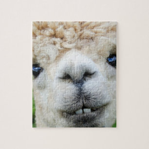 ALPACA PUZZLE 8 X10