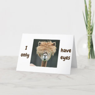 ALPACA SAGT *ICH HABE NUR AUGEN FÜR SIE* LIEBE CAR FEIERTAGSKARTE