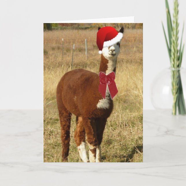 Alpaca Santa Feiertagskarte (Vorderseite)