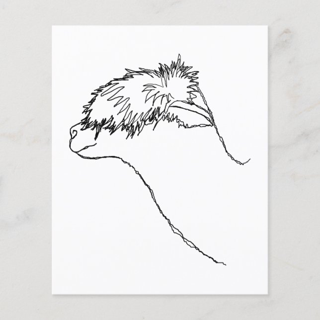 Alpaca Sketch. Flyer (Vorne)