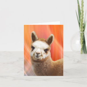Alpaca Smiling Birthday Cards Karte