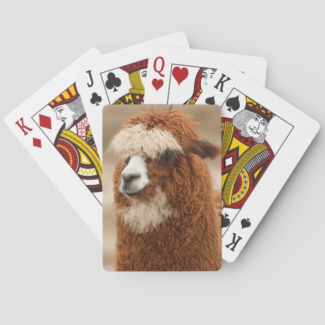 Alpaca Spielkarten (Rückseite)