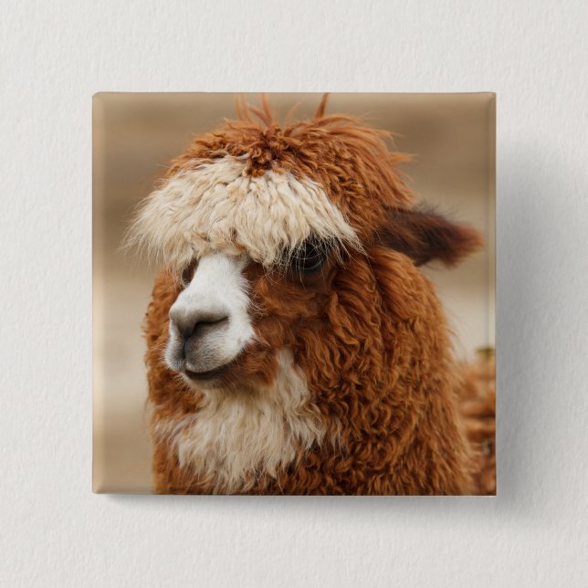 Alpaca-Taste Button (Vorderseite)