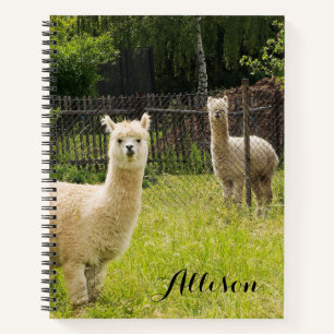 Alpaca Themed Notebook Personalisiert Notizbuch