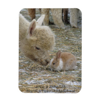 Alpaca und Bunny Kisses! Magnet