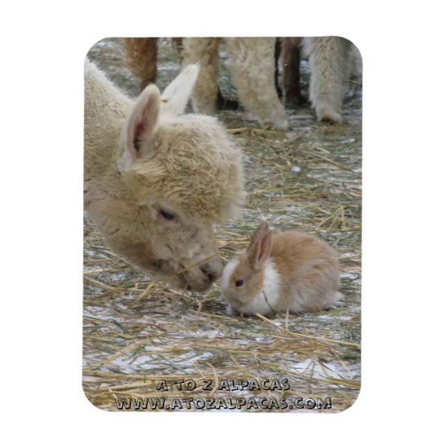 Alpaca und Bunny Kisses! Magnet (Vertikal)