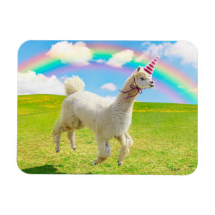 Alpaca Unicorn unter Regenbogen Himmel Magnet