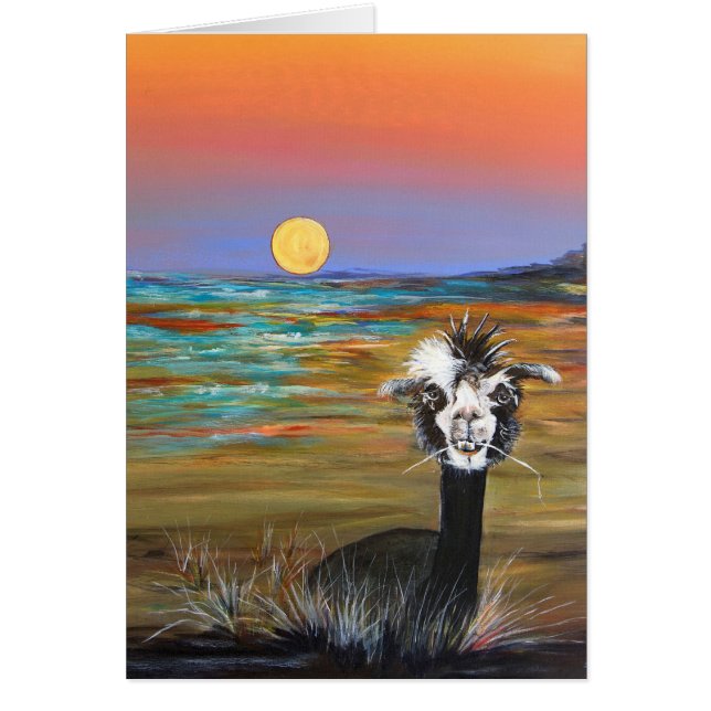 Alpaca - Vincent-Karte (Vorne)