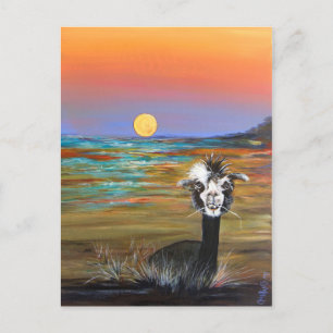 Alpaca - Vincent Postcard Postkarte