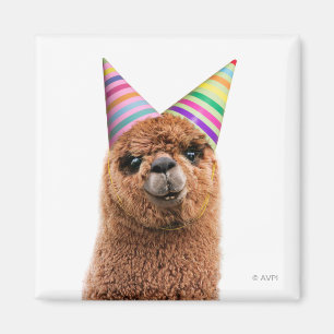 Alpaca Wear Party Hats Magnet