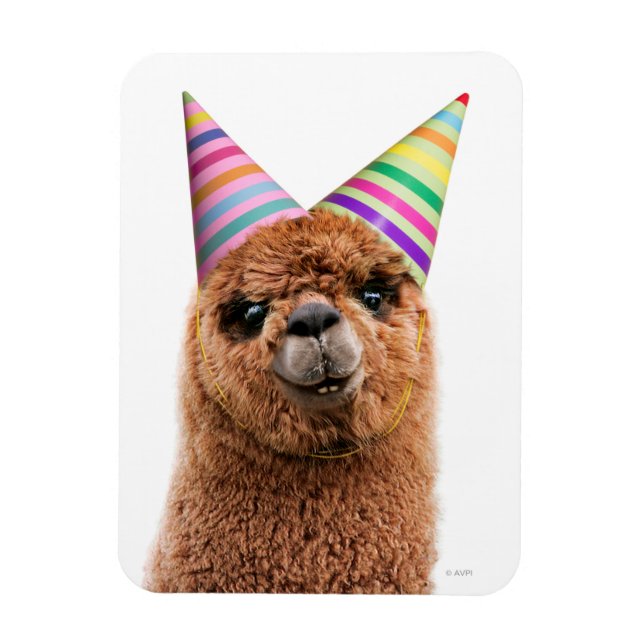 Alpaca Wear Party Hats Magnet (Vertikal)