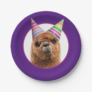 Alpaca Webereihats Party Pappteller