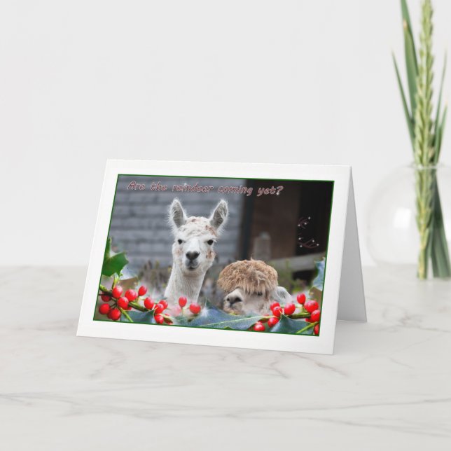 Alpaca Weihnachten (Vorderseite)