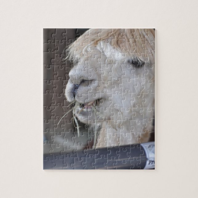 Alpaca, weiß puzzle (Vertikal)