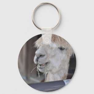 Alpaca, weiß schlüsselanhänger