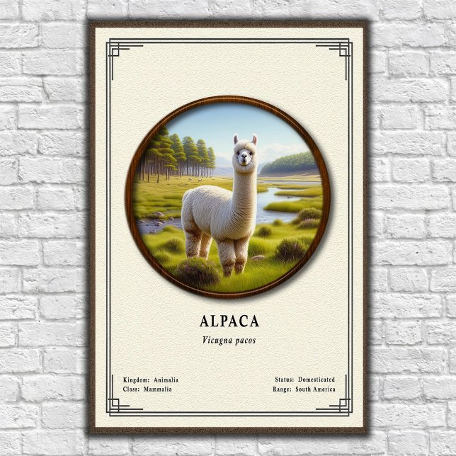Alpaca Zoology Series Poster (Von Creator hochgeladen)