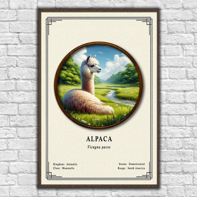 Alpaca Zoology Series Poster (Von Creator hochgeladen)