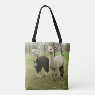 Alpacas
