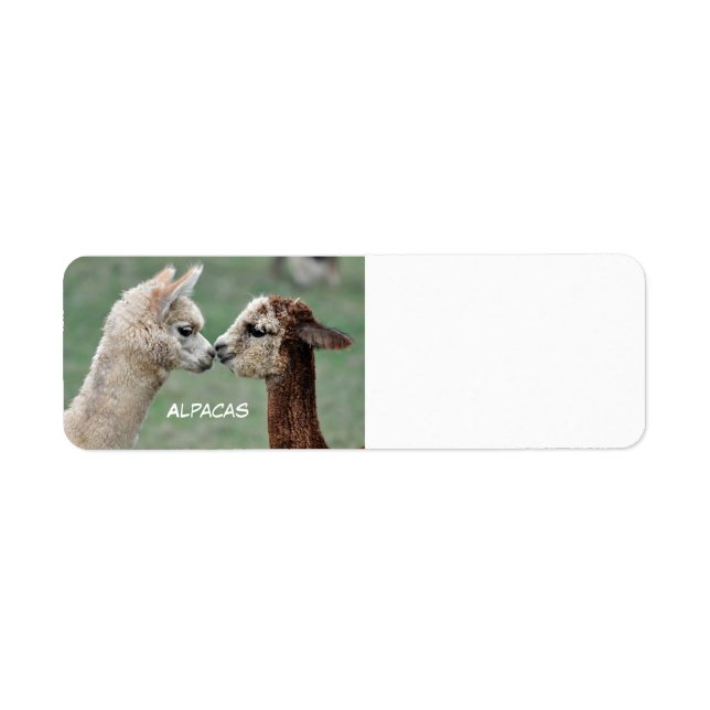 Alpacas-Etikett (Vorne)