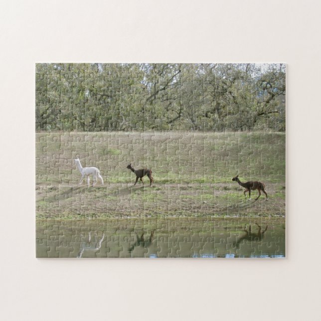 Alpacas on the Hill Puzzle (Horizontal)