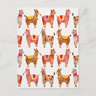 Alpacas Postkarte
