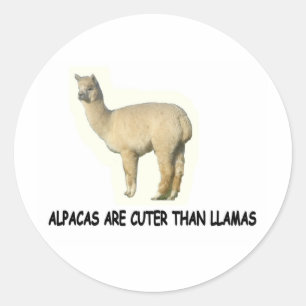 Alpacas sind niedlich als Lamas Runder Aufkleber