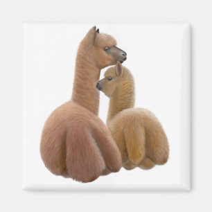 Alpaka-Liebe-Magnet Magnet