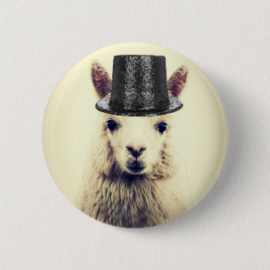 Alpaka mit Zylinder Button