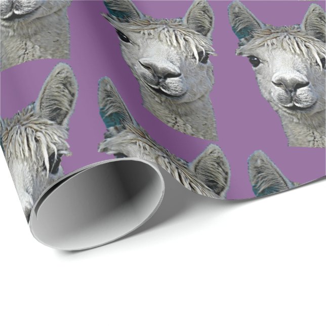 Alpaka-Papier auf Malvenfarbe Geschenkpapier (Rolleneckpunkt)