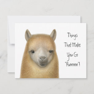 Alpaka-Party Einladung