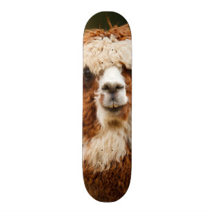 Alpaka Skateboard