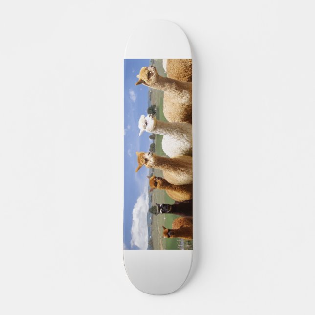 Alpaka-Skateboard Skateboard (Vorne)