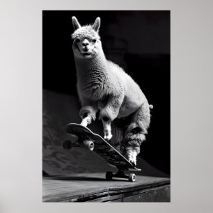 Alpaka Skateboarding Kunst Lustiges Tierfoto, Schw Poster