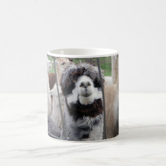 Alpaka-Tasse:) Tasse