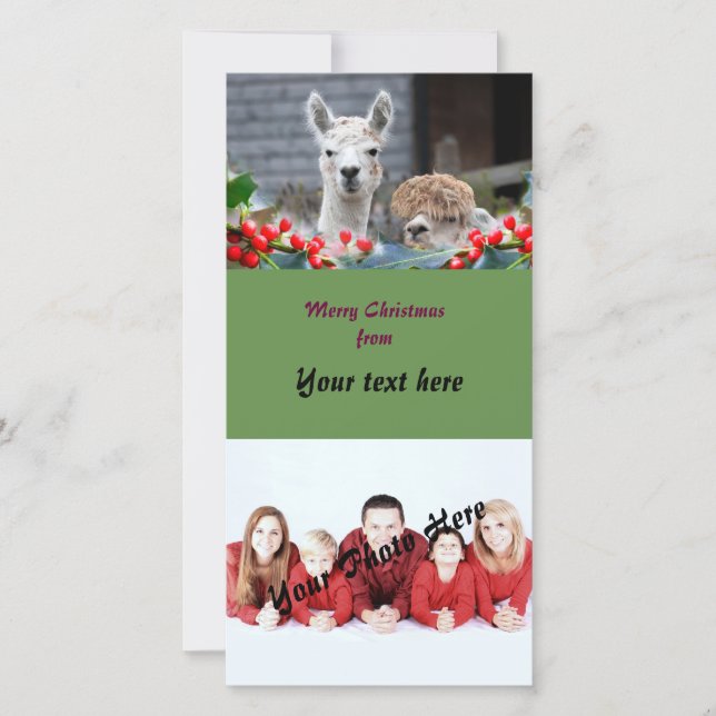 Alpaka-Weihnachten Feiertagskarte (Vorderseite)
