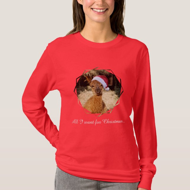 Alpaka-WeihnachtsT - Shirt (Vorderseite)