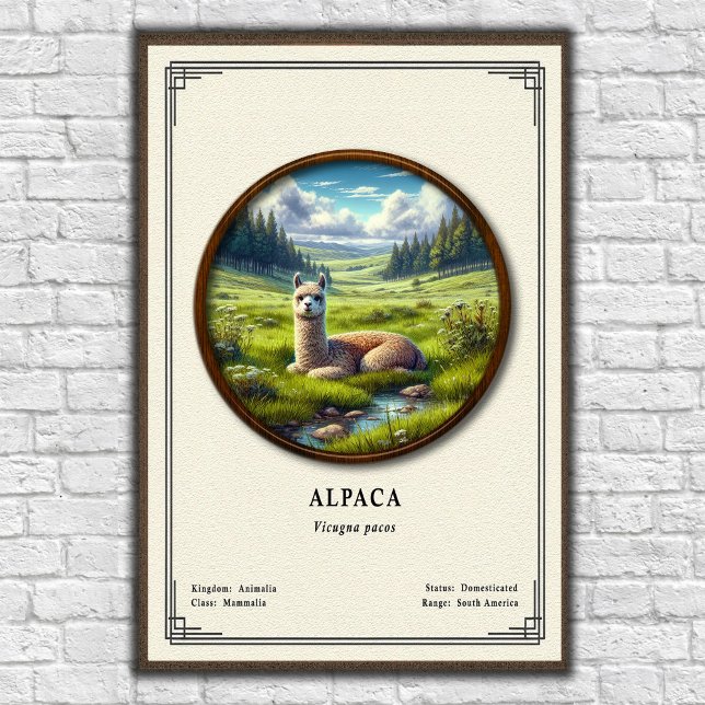 Alpaka-Zoologie-Serie Poster (Von Creator hochgeladen)