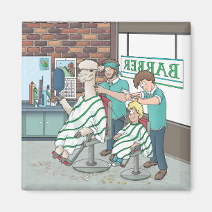 Alpakaaarschnitt magnet
