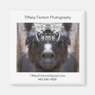 Alpakapromo-Stück Magnet