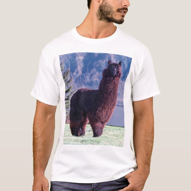 Alpakaregel T-Shirt (Vorderseite)