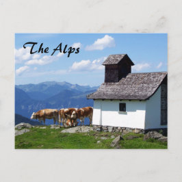 Alpen Bergwelt Landschaft mit Alpenkühen Postkarte