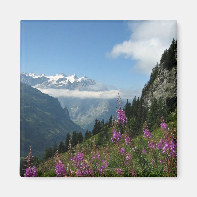 Alpen, Schweiz Magnet (Vorne)