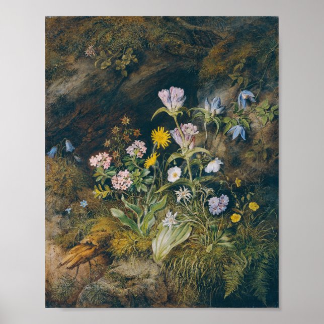 Alpenflora | Theodor Petter Poster (Vorne)